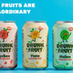 Product shot of Drunk Fruit seltzer in Lychee, Yuzu, and Melon flavors